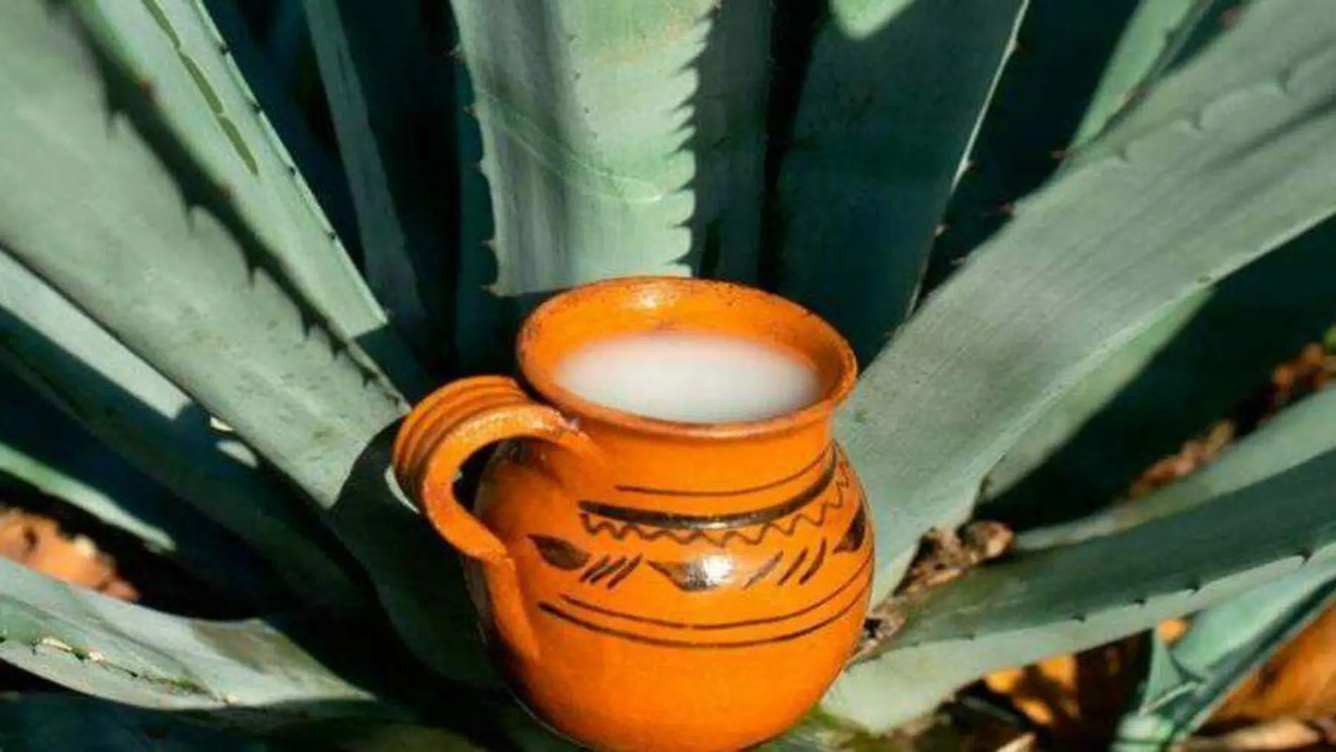 Taza con pulque